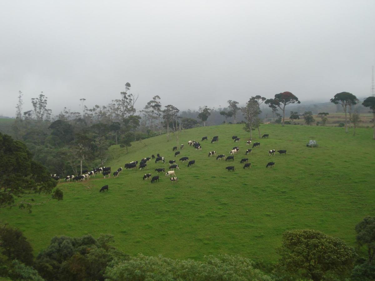 Hotel Vishmi'S Rest Nuwara Eliya Esterno foto